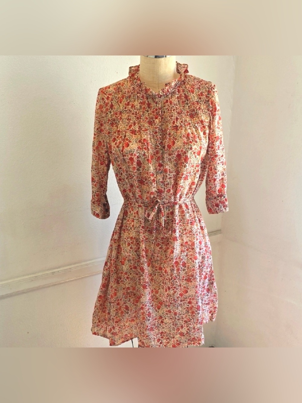 Isabel Marant Floral Mini Dress in Cream and Red